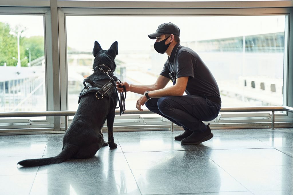 Security officer with detection dog patrolling airport terminal